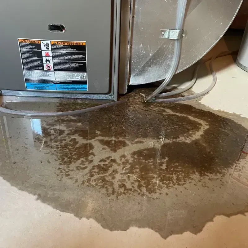 Appliance Leak Cleanup in Eddy County, NM